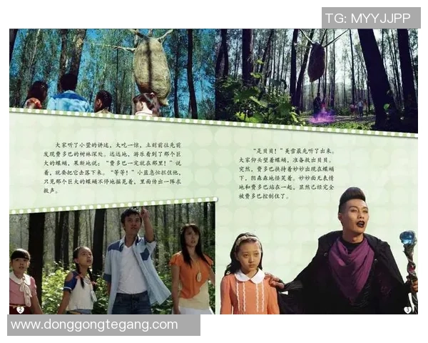 王丽的网球人生深度对话揭示奋斗与梦想的真实故事