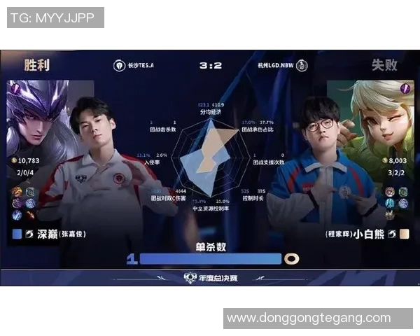 英雄联盟盛宴：深度解析TES战队背后的实力与荣耀